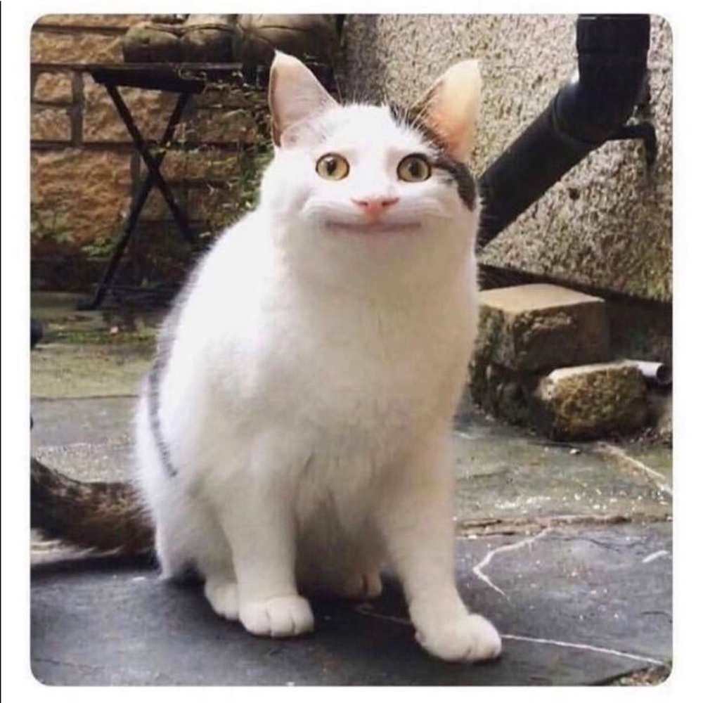 Meet your Posher, Taylor